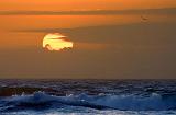 Gulf Sunrise_43297